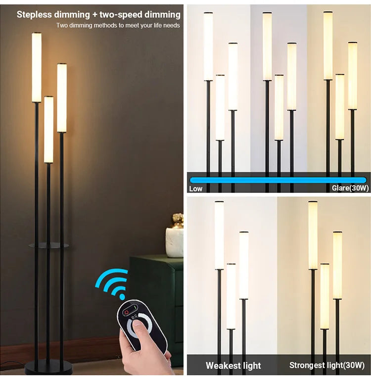 LED Shelf Floor Lamp Storage Standing Lighting Dimmable LED Floor lamp Indoor with remote control for Home Decoration Modern