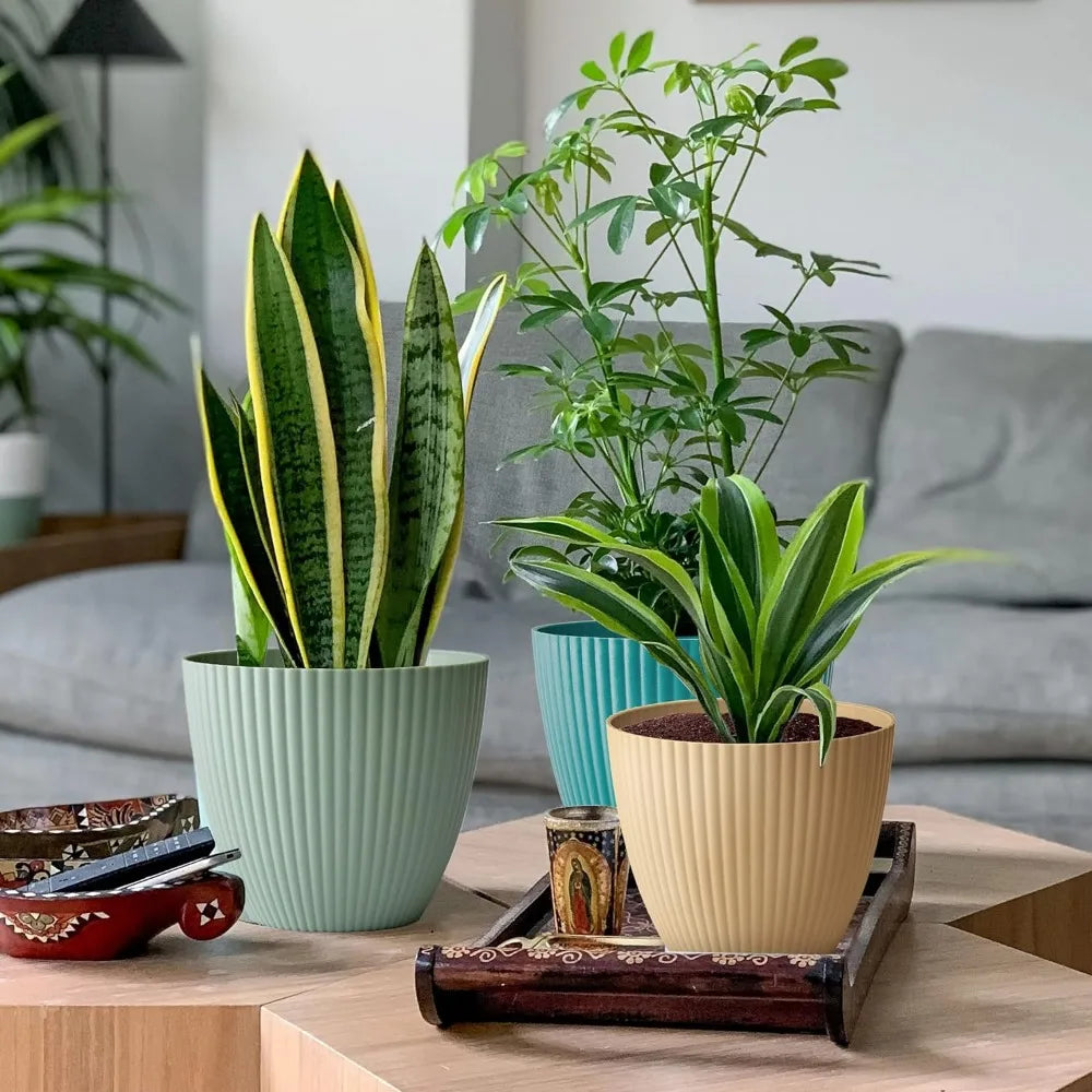 7 inch Large Plant Pots, 5 Pack Flower Pots Outdoor Indoor, Planters with Drainage Hole and Tray Saucer